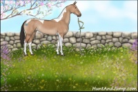 Horse Color:Brown Dun Tobiano Rabicano 