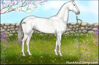 Horse Color:Gray Buckskin Dun Tobiano Blanket Rabicano 