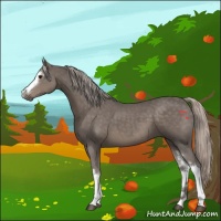 Horse Color:White Spotted Silver Black 