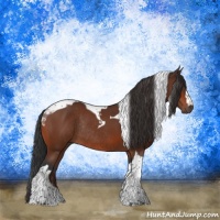 Horse Color:Brown Tobiano Rabicano