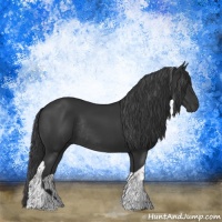 Horse Color:Black Tobiano Rabicano