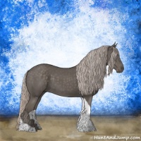 Horse Color:Silver Black Tobiano Rabicano