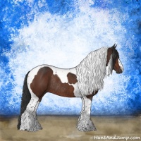 Horse Color:Brown Tobiano Rabicano