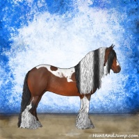 Horse Color:Brown Tobiano Rabicano