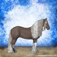 Horse Color:Silver Black Tobiano Rabicano 