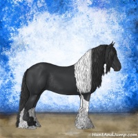 Horse Color:Black Tobiano Rabicano 
