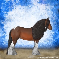 Horse Color:Bay Tobiano Rabicano