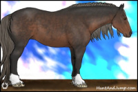 Horse Color:Liver Chestnut Mushroom 