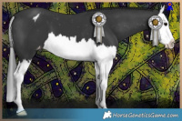 Horse Color:Black Sabino Splash Appaloosa 