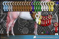 Horse Color:Watercolor Liver Chestnut Pearl 