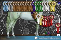 Horse Color:Watercolor Liver Chestnut Pearl 