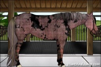 Horse Color:Void Plaid  White Spotted Chocolate Palomino Roan Dun 