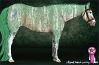 Horse Color:Watercolor White Spotted Liver Chestnut Ice