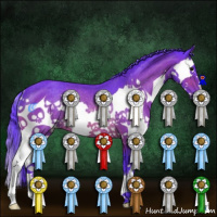 Horse Color:Watercolor Brown Splash Rabicano