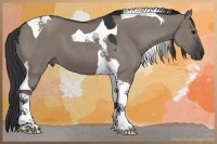 Horse Color:Grullo Tobiano