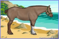 Horse Color:Liver Red Dun 