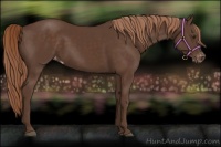 Horse Color:Liver Chestnut Sabino Varnish Rabicano 