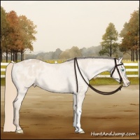 Horse Color:Perlino Dun Appaloosa 