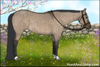 Horse Color:Brown Dun Brindle