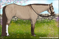 Horse Color:Liver Red Dun Brindle 
