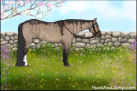 Horse Color:Brown Dun Brindle