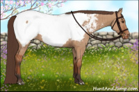 Horse Color:Bay Dun Near Fewspot Brindle 