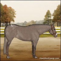 Horse Color:Liver Red Dun Mushroom Varnish Brindle 