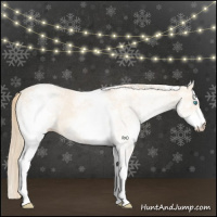Horse Color:White Spotted Perlino Appaloosa 