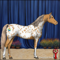 Horse Color:Palomino Near Leopard 