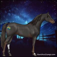 Horse Color:Liver Red Roan 