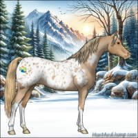 Horse Color:Red Roan Appaloosa Rabicano 