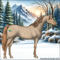Horse Color:Red Dun Roan 