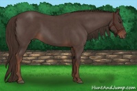 Horse Color:Liver Red Roan 