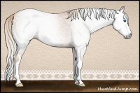 Horse Color:Gray Gold Champagne Roan Splash Frame Rabicano 