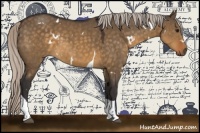 Horse Color:White Spotted Silver Buckskin Dun Tobiano 