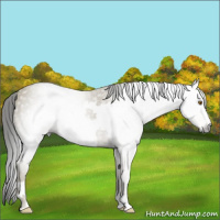 Horse Color:Gray Classic Cream Champagne Frame 