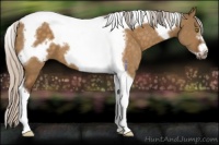 Horse Color:Silver Buckskin Dun Tobiano Frame 