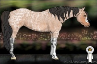 Horse Color:Bay Ice Roan 
