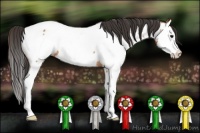 Horse Color:Bay Roan Splash Near Fewspot Rabicano 