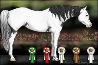 Horse Color:Black Splash Near Fewspot Rabicano