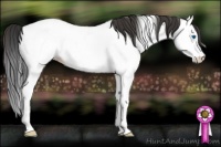 Horse Color:Bay Ice Roan Splash Appaloosa 