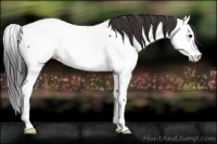 Horse Color:Bay Roan Splash Fewspot 