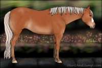 Horse Color:Silver Bay 