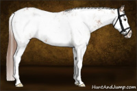 Horse Color:Chestnut Sabino