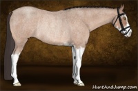 Horse Color:Sable Champagne Roan Sabino Rabicano
