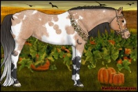 Horse Color:Bay Roan Tobiano Frame Varnish 