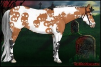 Horse Color:Bay Tobiano Frame 