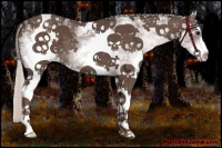 Horse Color:White Spotted Silver Black Sabino 
