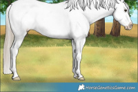 Horse Color:Chocolate Palomino Sabino Snowflake Varnish