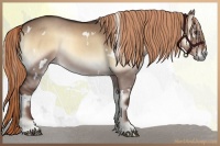 Horse Color:White Spotted Liver Red Dun Onyx